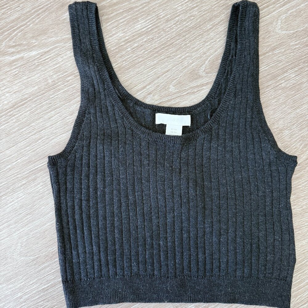 NWT H&M Cropped Top